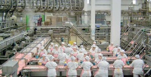 Автоматическая мойка-дезинфекция транспортерных лент для предприятий мясоперерабатывающей отрасли