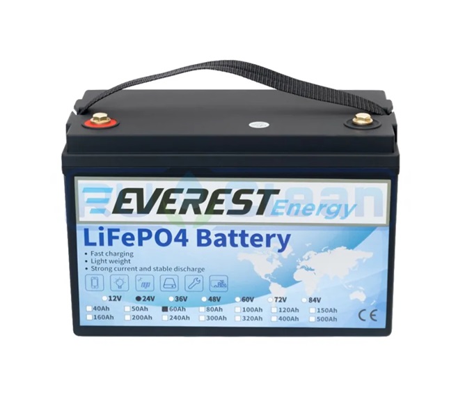 Аккумулятор Everest Energy LifePO4 24V60ah