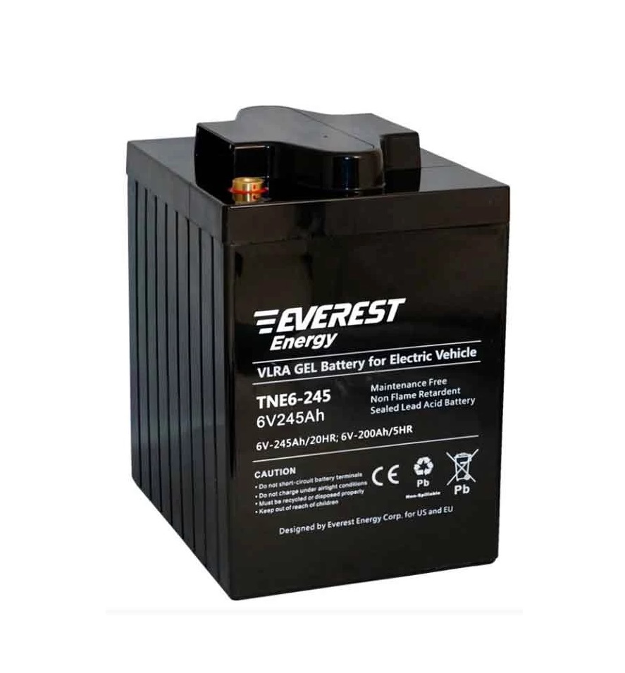 Аккумулятор Everest Energy TNE6-245 (6V-200AH/C5)