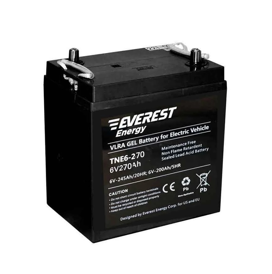 Аккумулятор Everest Energy TNE6-270