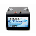 Аккумулятор Everest Energy LifePO4 36V200ah
