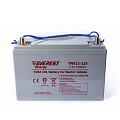 Аккумулятор Everest Energy TNE12-125 (12V-106AH/C5)