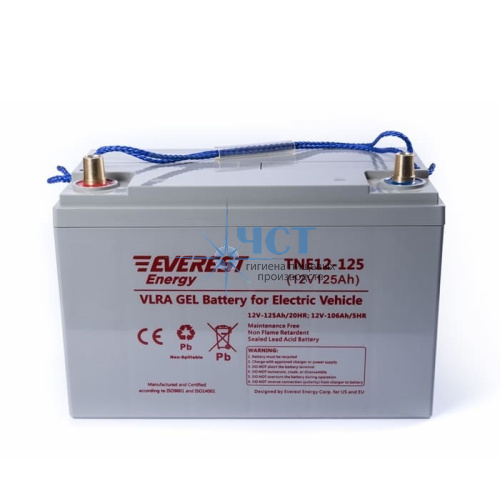 Аккумулятор Everest Energy TNE12-125 (12V-106AH/C5)