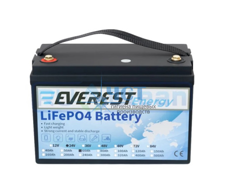 Аккумулятор Everest Energy LifePO4 24V60ah