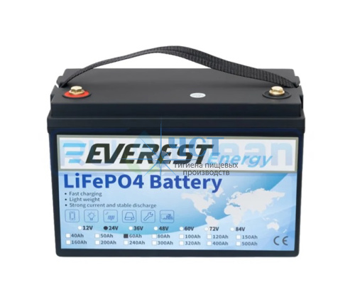 Аккумулятор Everest Energy LifePO4 24V60ah