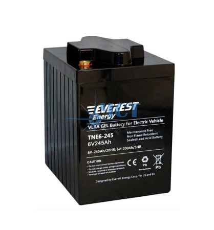 Аккумулятор Everest Energy TNE6-245 (6V-200AH/C5)
