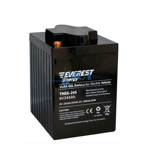 Аккумулятор Everest Energy TNE6-245 (6V-200AH/C5)