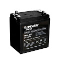 Аккумулятор Everest Energy TNE6-270