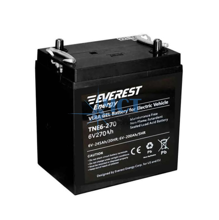 Аккумулятор Everest Energy TNE6-270