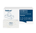 120380 Tellus Прем салф. д/лица 2 сл, 100 листов