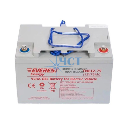 Аккумулятор Everest Energy TNE12-75 (6-EVF-60)