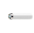 487909006 Лампа 40W (без защиты) 40W/D25.5/G13/T8/BL (L=590mm)