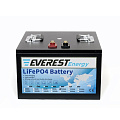 Аккумулятор Everest Energy LifePO4 24V100ah 