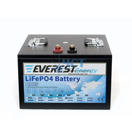 Аккумулятор Everest Energy LifePO4 24V100ah 