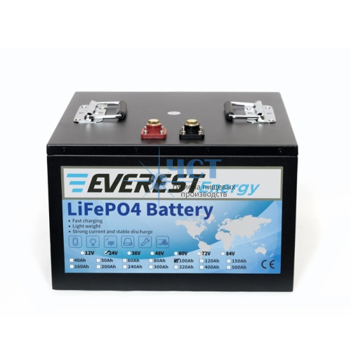 Аккумулятор Everest Energy LifePO4 24V100ah 