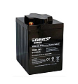 Аккумулятор Everest Energy TNE6-245 (6V-200AH/C5)